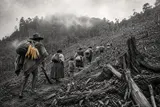 La colonización antioqueña y la fábrica del pionero (1870–1880)
