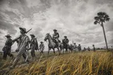 Guerrillas liberales y autodefensas campesinas (1949–1953)