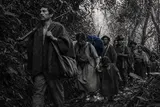 Guerra de Villarrica y Columnas de Marcha (1954–1955)