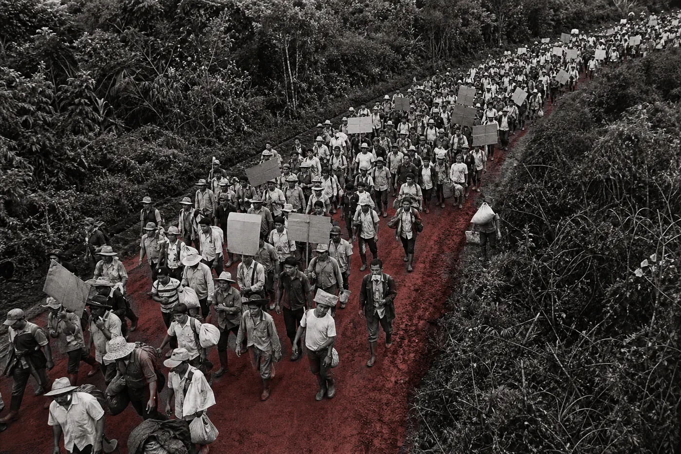 Las marchas cocaleras y la frontera agraria (1996–2000)